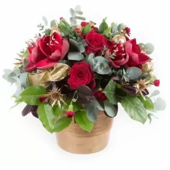 אבריסטוויט פרחים- מְפוֹאָר פרח משלוח