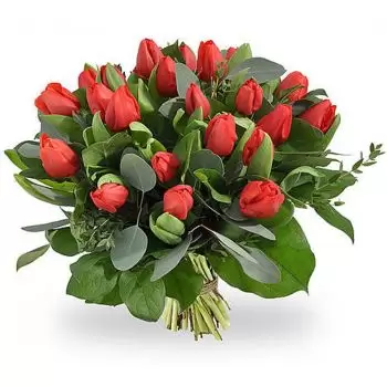 بائع زهور Asse- حب الولاء زهرة التسليم