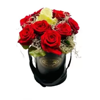 Bellaire rože- Classy Fond Cvet Dostava