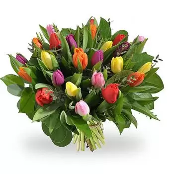 بائع زهور بيلفو لينوفيل- حريري زهرة التسليم