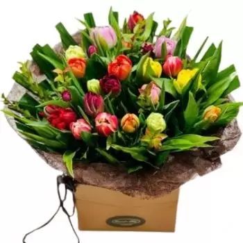 Ayeneux blomster- Strålende Glød Blomst Levering