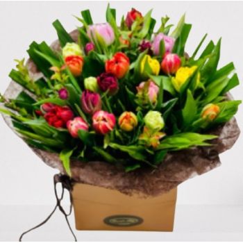 flores Bruselas floristeria -  resplandor radiante Ramos de  con entrega a domicilio