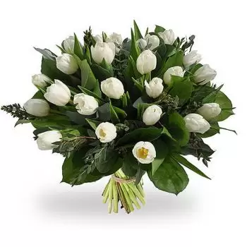 بائع زهور أرجينتو- لمعان أبيض زهرة التسليم