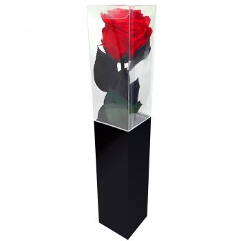Zagreb Fleuriste en ligne - Rose rouge stabilisée Bouquet