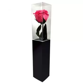 Portimäo online virágüzlet - Tartósított rózsaszín rózsa Csokor