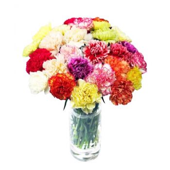 بائع زهور باكو- مليئة بالبهجة زهرة التسليم
