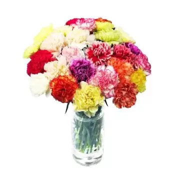 Gundsomagle Blumen Florist- Voller Spaß Blumen Lieferung
