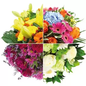 Basel kedai bunga online - Biarkan diri anda terkejut Sejambak