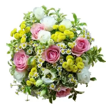 fleuriste fleurs de Brunegg- Laisse entrer la lumière Fleur Livraison