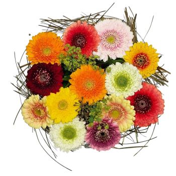 بائع زهور متهور أ. البيس- بهجة الألوان باقة الزهور