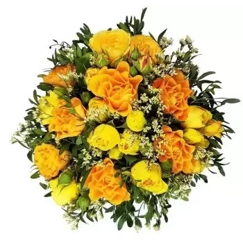 Balsthal bunga- Api matahari Bunga Penghantaran