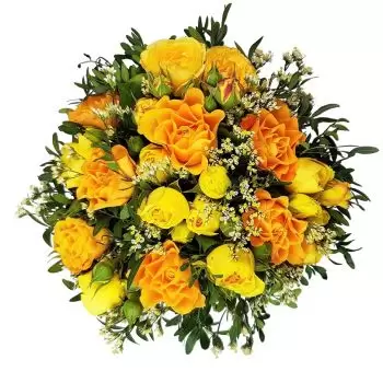 flores de Bezirk Sense- Sunfire Flor Entrega