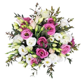 Ρούτι λουλούδια- Κλασική ομορφιά Λουλούδι Παράδοση
