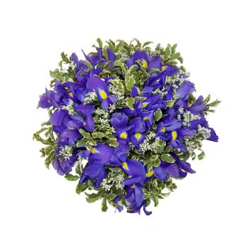 Chur kvety- Modrý oheň Aranžovanie kytice