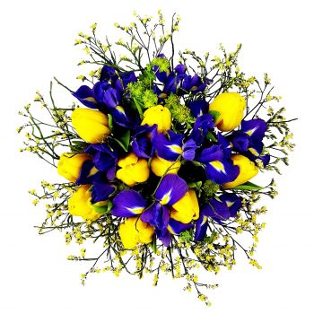 Aeugstertal kwiaty- Niebieskie oko Bukiet ikiebana