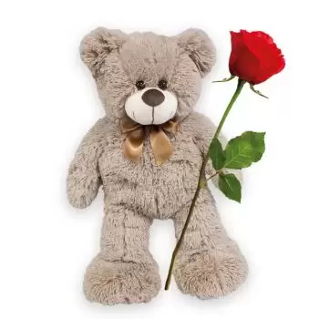 פריינבאך פרחים- חיבוק דוב פרח משלוח