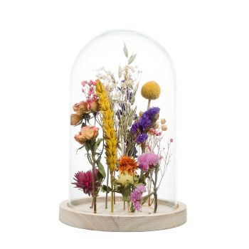Bellinzona flowers  -  Flower bell jar Delivery