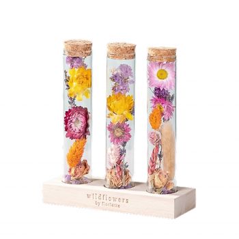 flores de Liechtenstein- Frasco de mensagem Flor Entrega