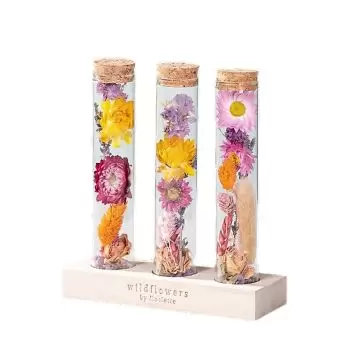 Biberstein blomster- Meldingsflaske Blomst Levering