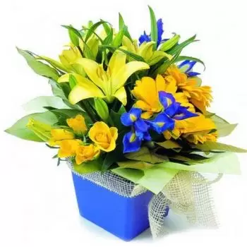 💐 Silves Happy Face | Roses, Gerbera, Iris And Lilies | 꽃 배달 Silves -  Silves 플로리스트