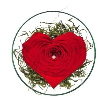 Басердорф цветя- свещено Цвете Доставка