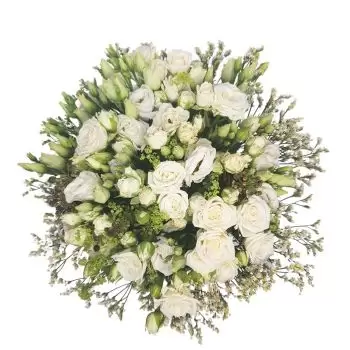 flores Basilea floristeria -  Compasión Ramos de  con entrega a domicilio