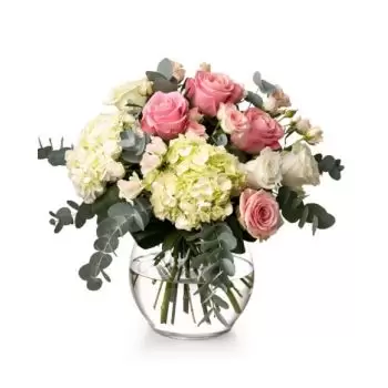 אנינואסה פרחים- להט פרח משלוח