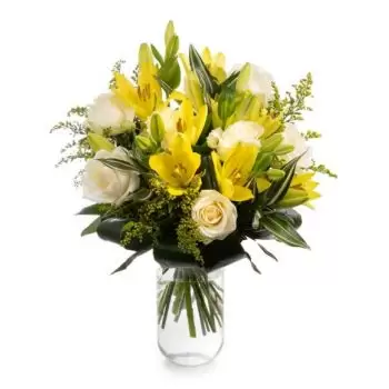 flores Barsana floristeria -  Deslumbrar Ramos de  con entrega a domicilio