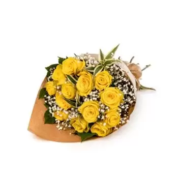 flores de Bozovici- Brilho do Sol Flor Entrega