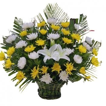 גואנגזו פרחים- סימפטיה מסורתית פרח משלוח