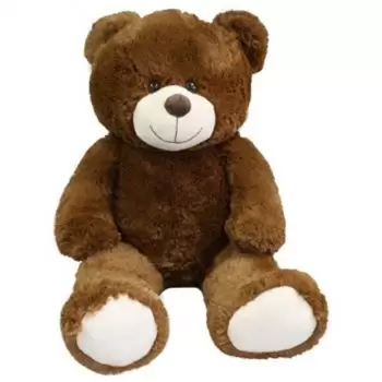 Graz kedai bunga online - Anak patung beruang Sejambak