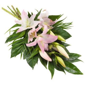flores Gante floristeria -  Santo rosa Ramos de  con entrega a domicilio