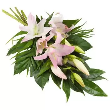 flores Feudal floristeria -  Santo rosa Ramo de flores/arreglo floral