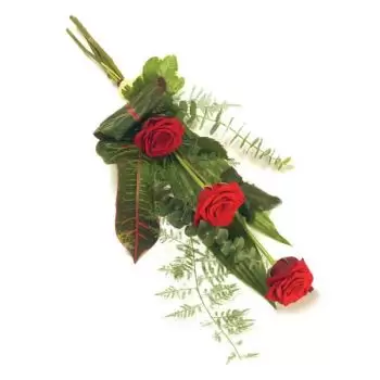 Αμβέρσα λουλούδια- Αθόρυβο κόκκινο Μπουκέτο/ρύθμιση λουλουδιών