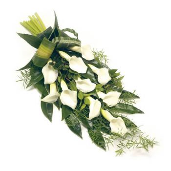 Charleroi květiny- Calla sprej Květ Dodávka