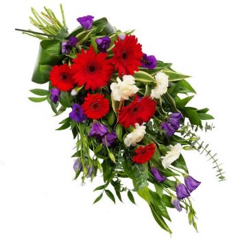 بائع زهور بلجيكا- روح صافية زهرة التسليم