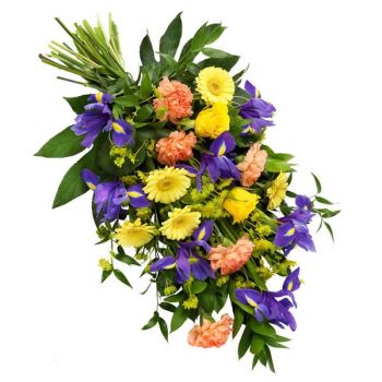Бельгия цветы- Небеса Цветок Доставка
