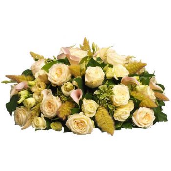Charleroi λουλούδια- Σεμνότητα Λουλούδι Παράδοση