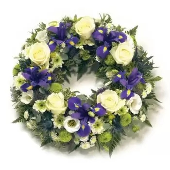 Αμβέρσα λουλούδια- Μπλε πέταλο Λουλούδι Παράδοση