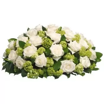 Charleroi λουλούδια- Λευκό μαργαριτάρι Μπουκέτο/ρύθμιση λουλουδιών