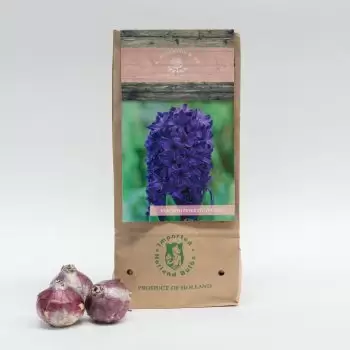 Лион онлайн магазин за цветя - Питър Стайвесант Букет