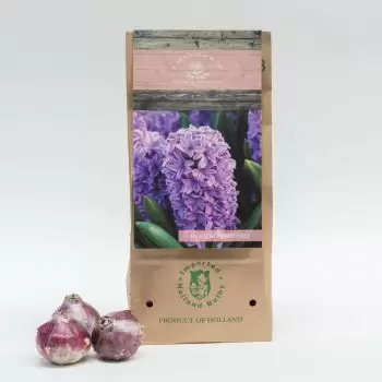 Riyadh Online blomsterbutikk - Lilla stemme Bukett