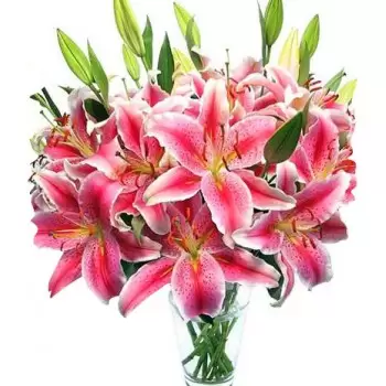 Az-Zaytun bloemen bloemist- Mooi roze Bloem Levering