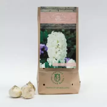 Dammam blomster- Fairy White Blomst buket/Arrangement
