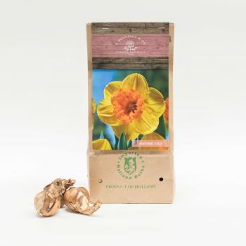 Portimao blomster- Vega Blomsterarrangementer bukett