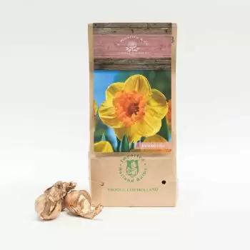 Jeddah Florarie online - Vega Buchet