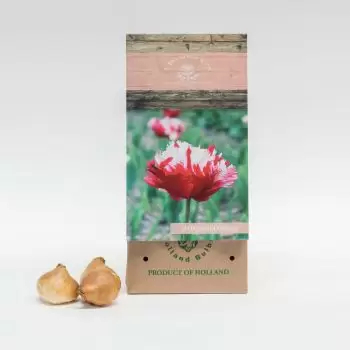 Szaúd-Arábia-virágok- Estella Rijnveld Virágkötészeti csokor