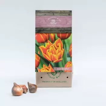 Alcabideche онлайн магазин за цветя - Кръстосан огън Букет