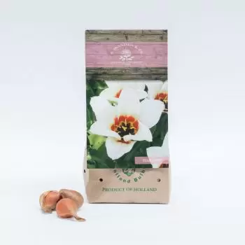 Medina (Al-Medinan) Online kukkakauppias - Janet Kimppu