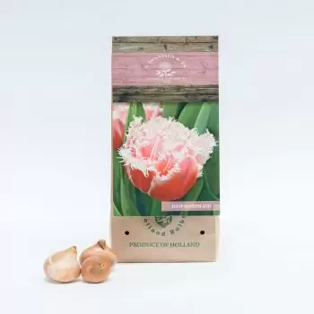 flores de Torremolinos- Queensland Flor Entrega